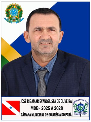 José Ribamar.jpg